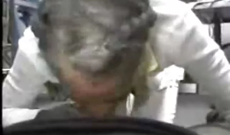 لیلا شاهین خر و داستان سکس پدر و مادر پس از حرارت صفحات
