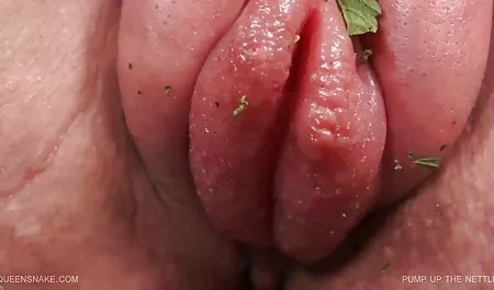 5 نوع صحنه اریک پدر مامان سک