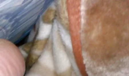 این دختر سکس مادر زن زیبا!